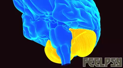 Exploring the Cerebellum's Impact on Social Intelligence