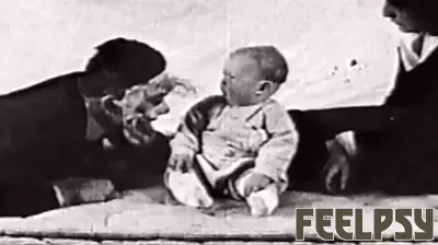 The Truth Behind the Infamous 'Baby Albert' Experiment